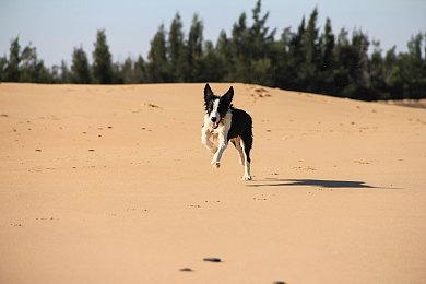 《哆啦A梦牧场物语2》最新系统介绍PV公布 游戏11月2日发售